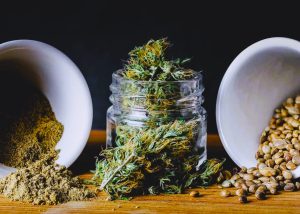 Мука из семян марихуаны является ценным источником питательных веществ